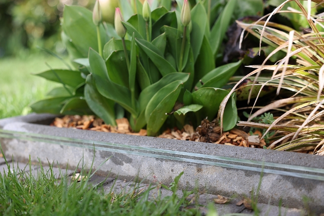 Snailstop auf Gartenbeeteinfassung aus Stein