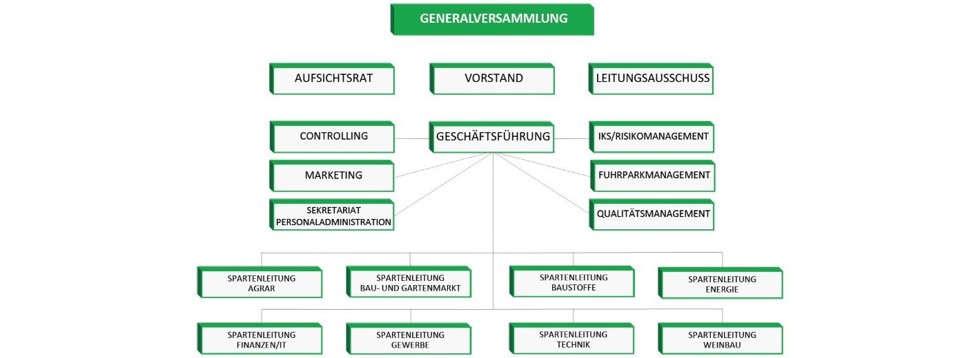 Organigramm