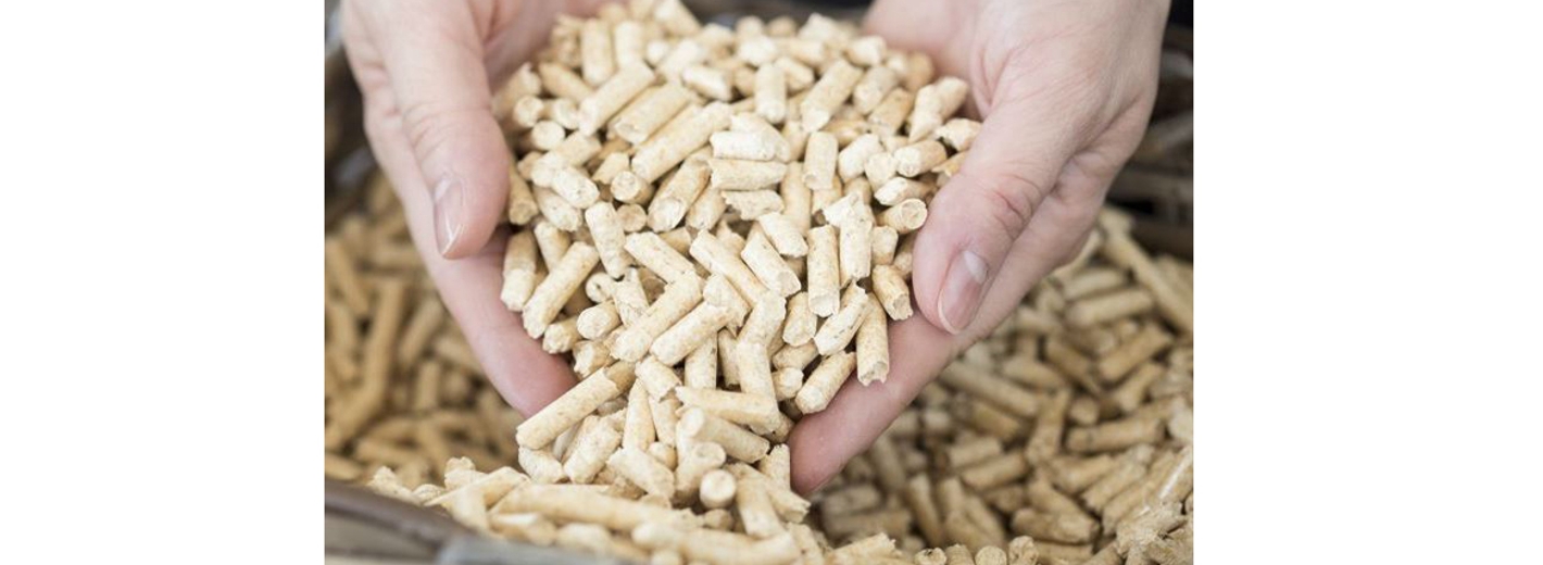 Genol Pellets lose fließen durch zwei Hände