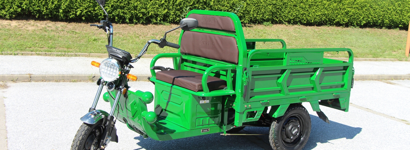 LDR Smart. Das Elektro-Lastendreirad Smart von Carello in der Farbe Grün steht vor einer grünen Hecke auf einem Parkplatz