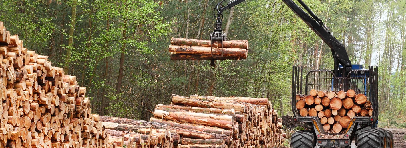 Holzverarbeitung