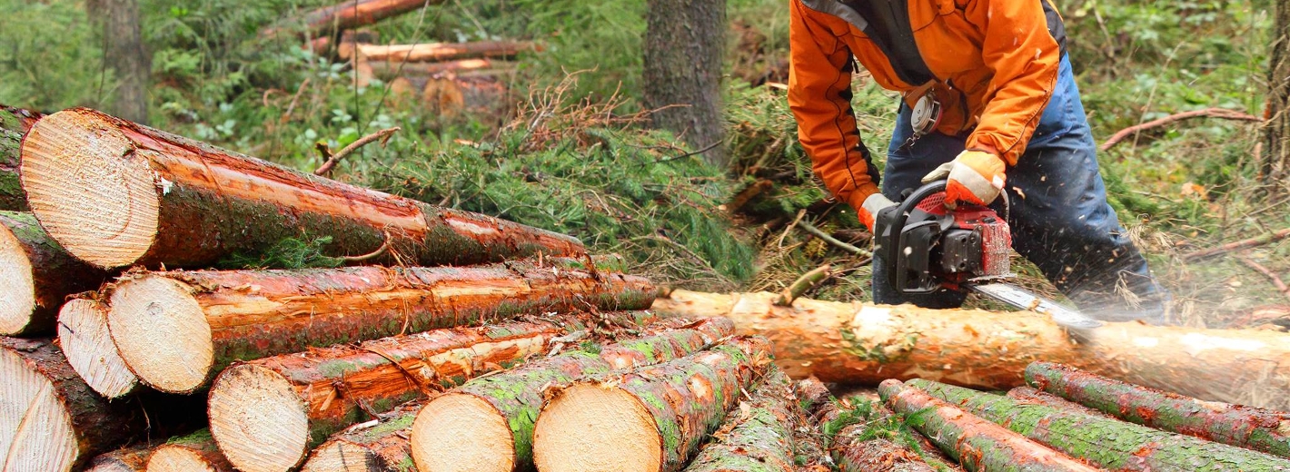 Mann mit Säge bearbeitet Holz