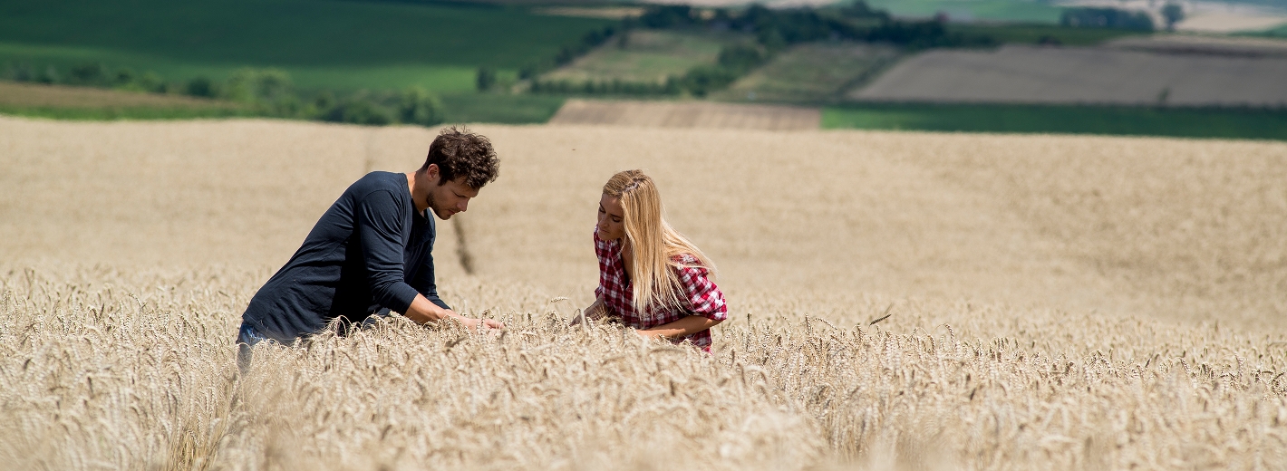 Zwei Personen stehen im Feld und begutachten Getreide
