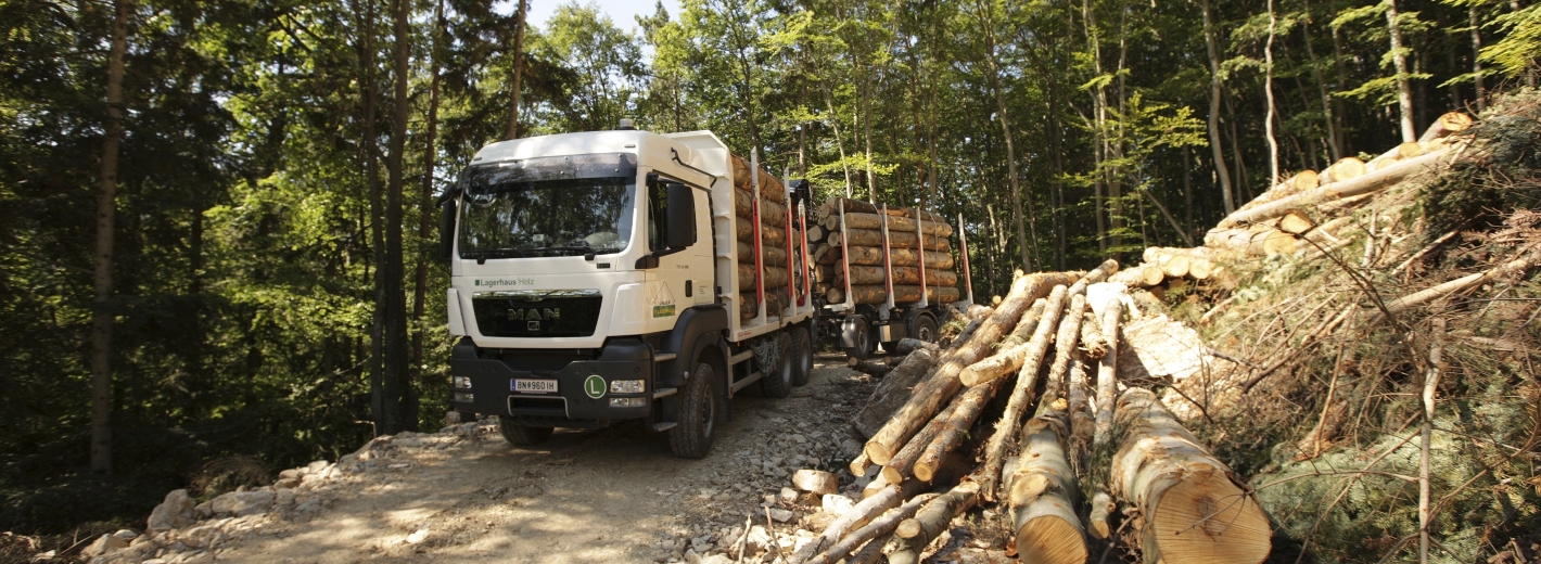 Lagerhaus Lastwagen verladet im Wald Holz