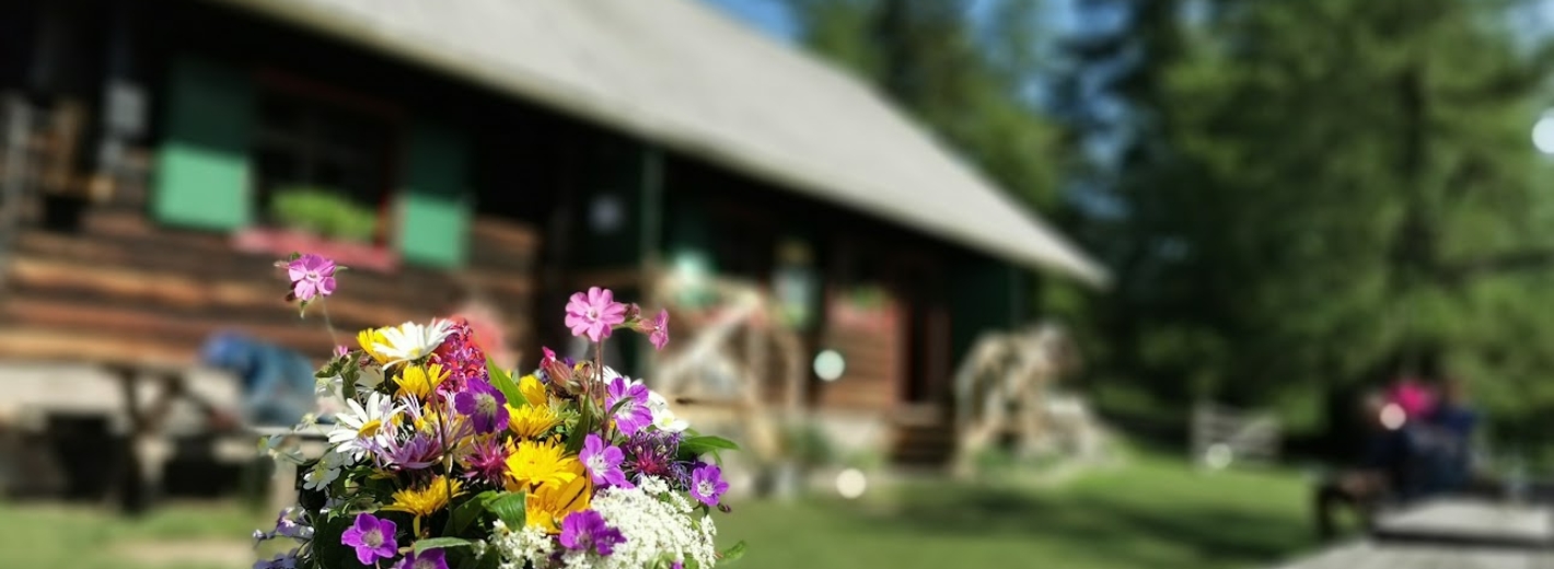 Wiesenblumen in einer Vase im Hintergrund die Alm