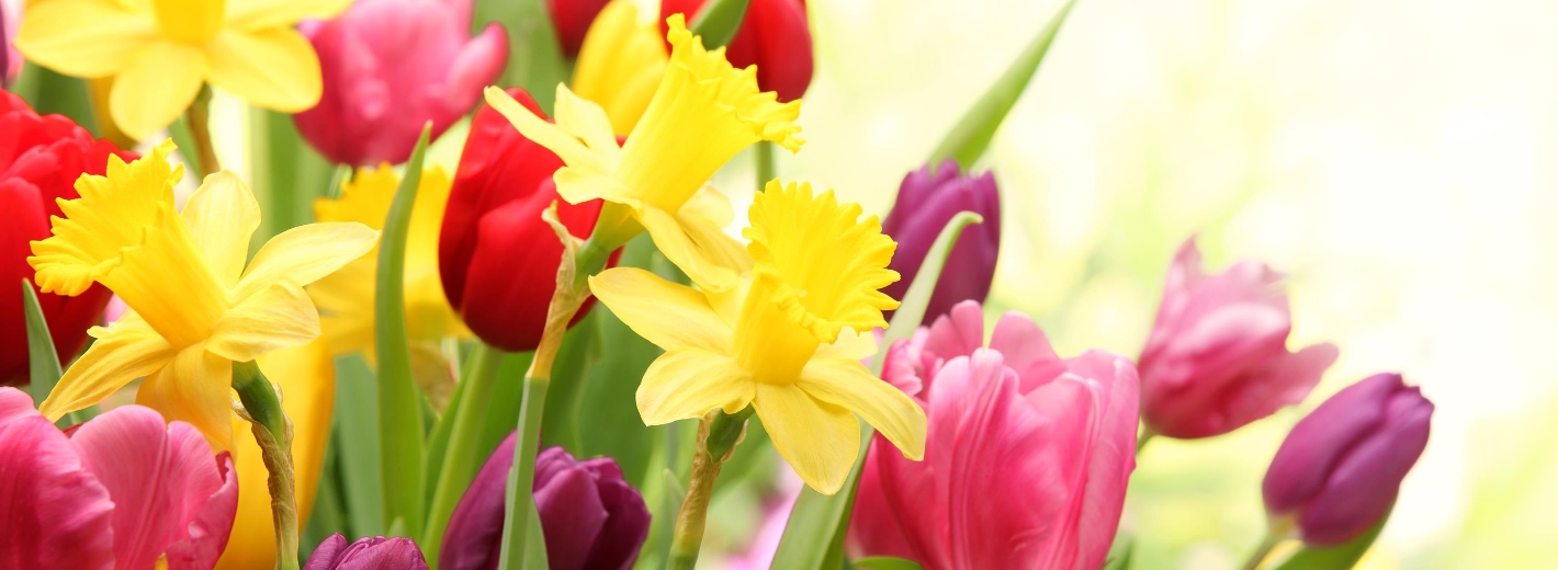 Start ins Gartenjahr