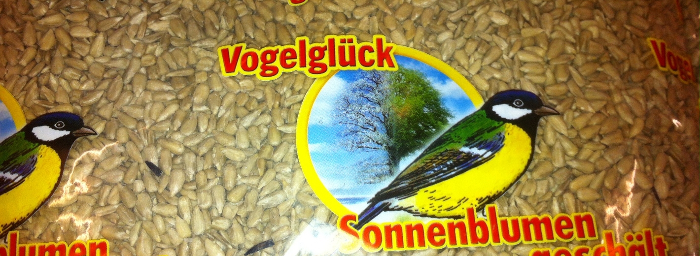 Richtig Vögel füttern