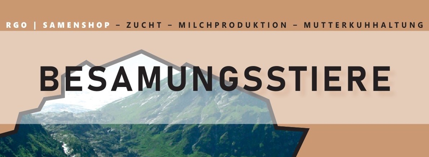 Deckblatt Stierkatalog 2025