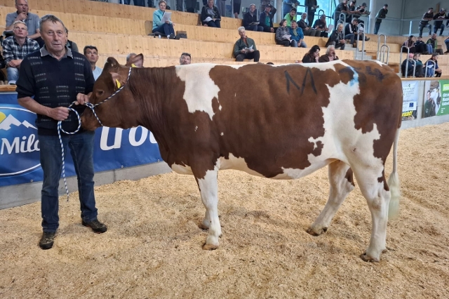 GS DER BESTE-Jessy von Steiner Othmar, vlg. Unter-Peterer aus Prägraten