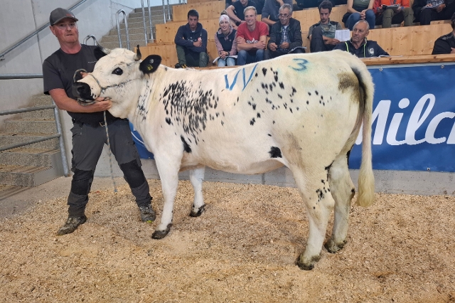 PFEFFER PSS-Fyona PSS von Fuetsch Josef, vlg. Obernolzer, Virgen