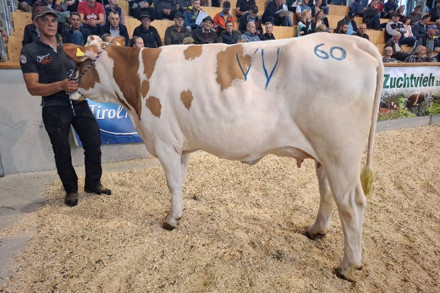 GS WUNDAWUZI-Ayla von Kleinlercher Martin, vlg. Huters, St. Veit