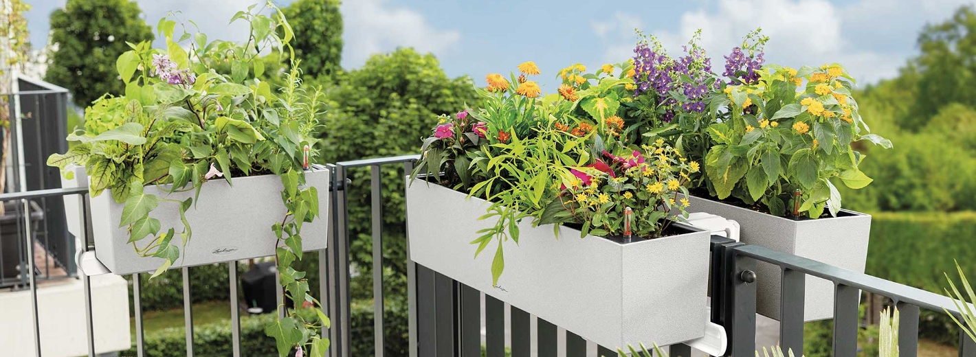Blumenkisterl mit Wasserspeicher von Lechuza auf Balkongeländer
