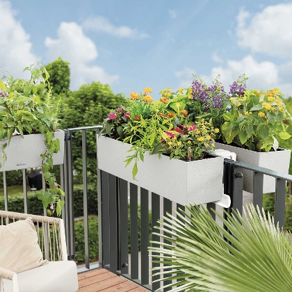 Blumenkisterl mit Wasserspeicher von Lechuza auf Balkongeländer