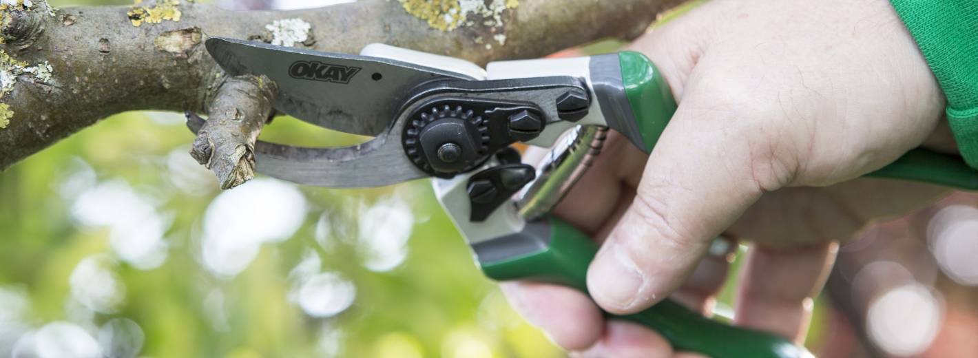 Schnitt mit einer OKAY-Gartenschere