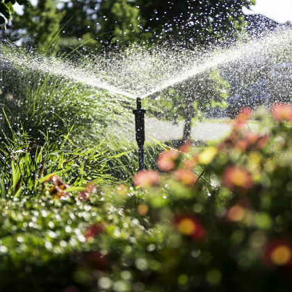Bewässerung im Garten