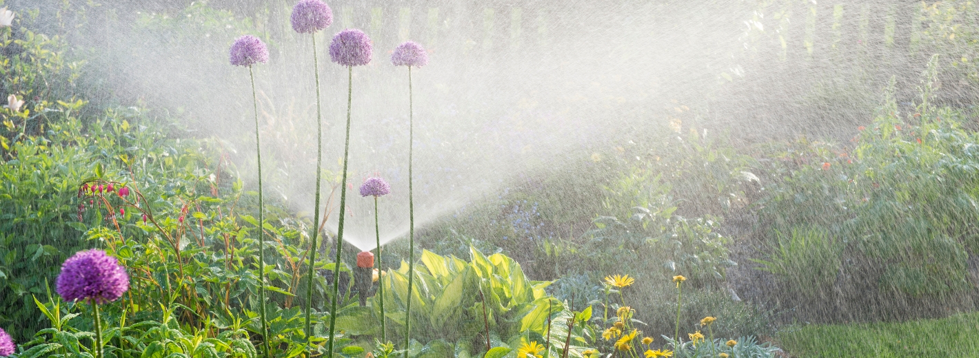 Garten wird bewässert