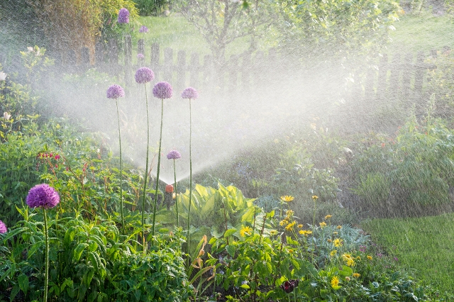 Garten wird bewässert