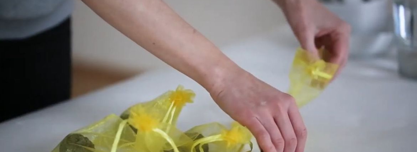 DIY Samenbomben