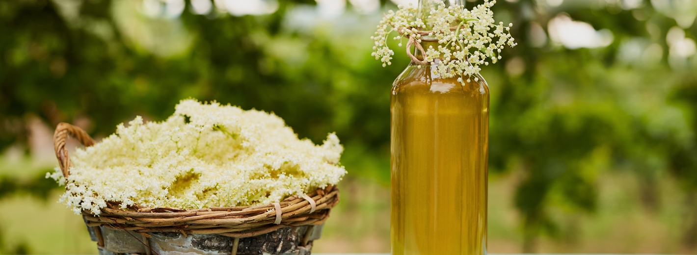 Holunderblüten in einem Korb mit Hollersirup