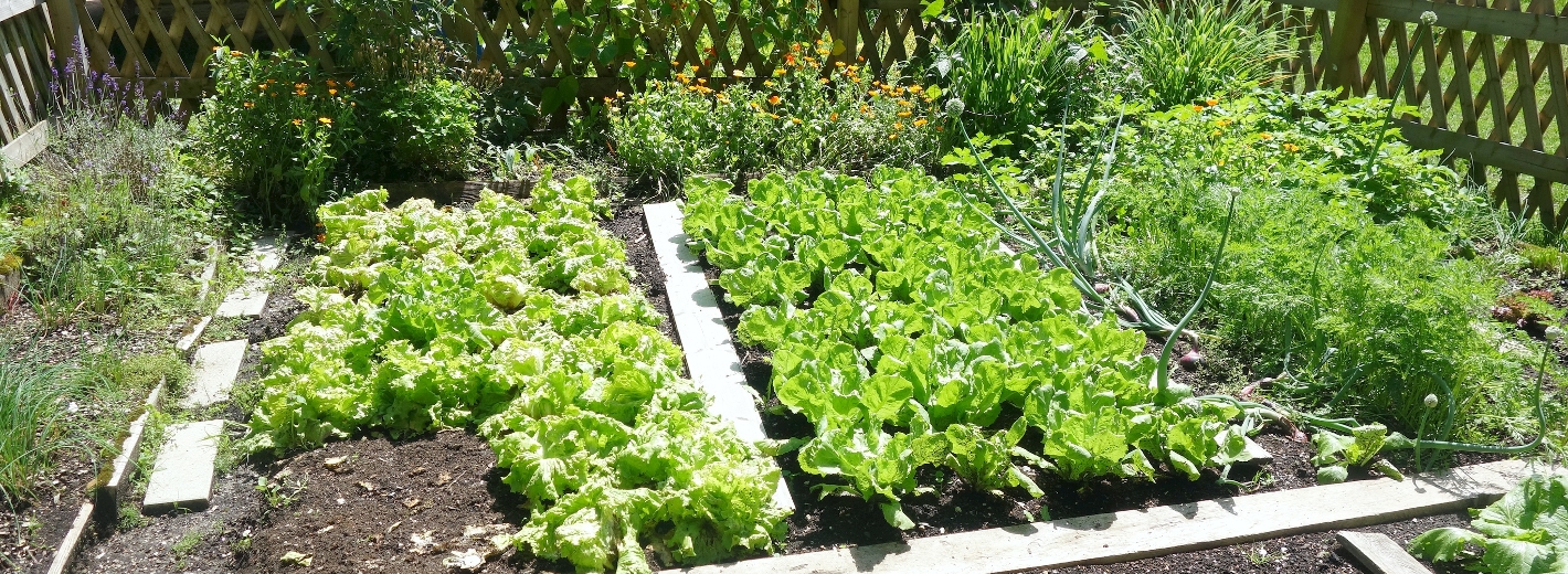 Bauerngarten