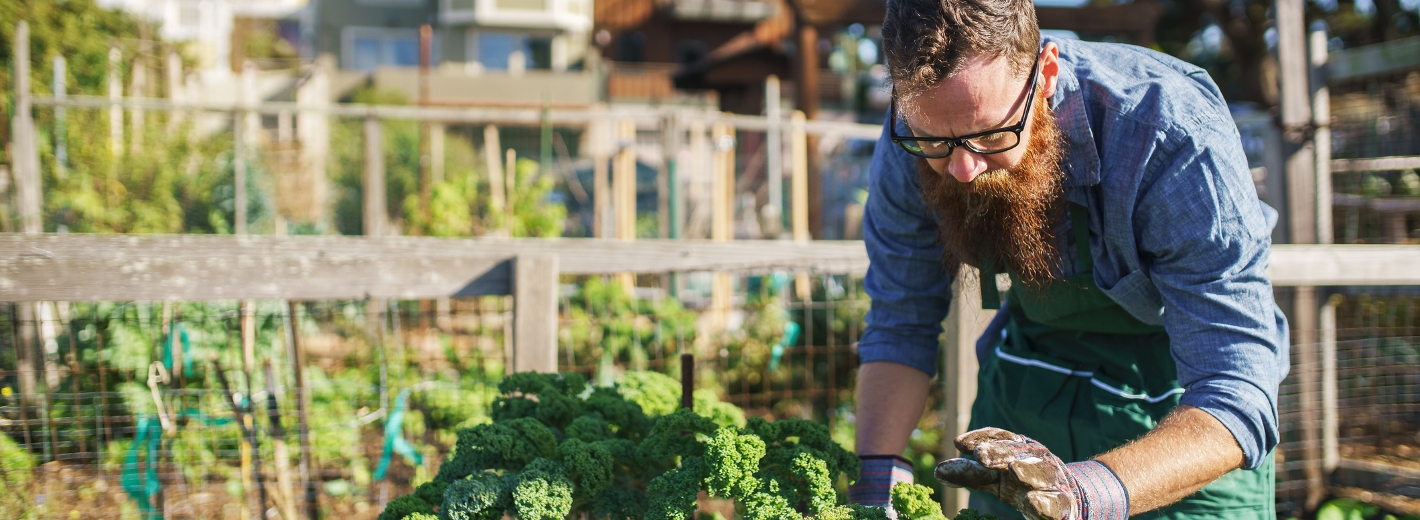 Mann arbeitet in urbanen Garten