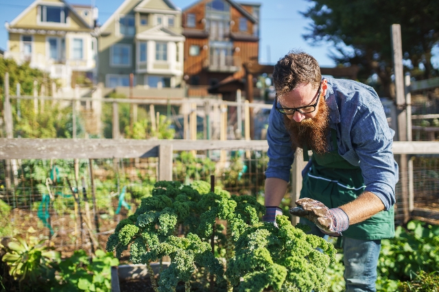 Mann arbeitet in urbanen Garten