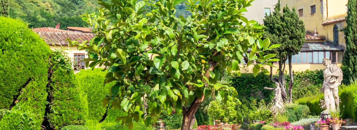 Mediterraner Garten italienisch
