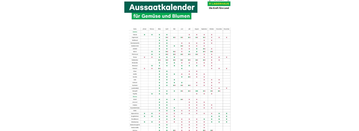 Aussaatkalender Gemüse und Blumen
