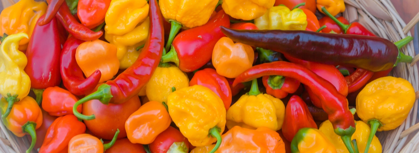 Chilis und Pfefferonis
