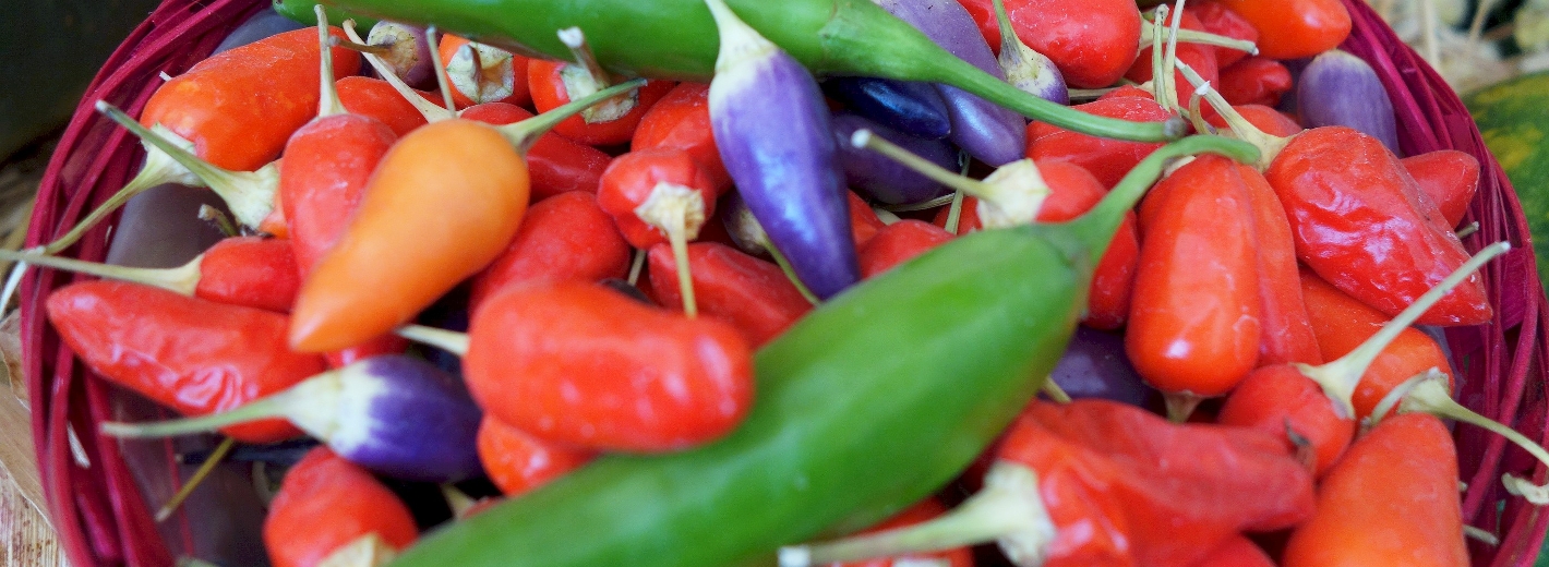 Chili