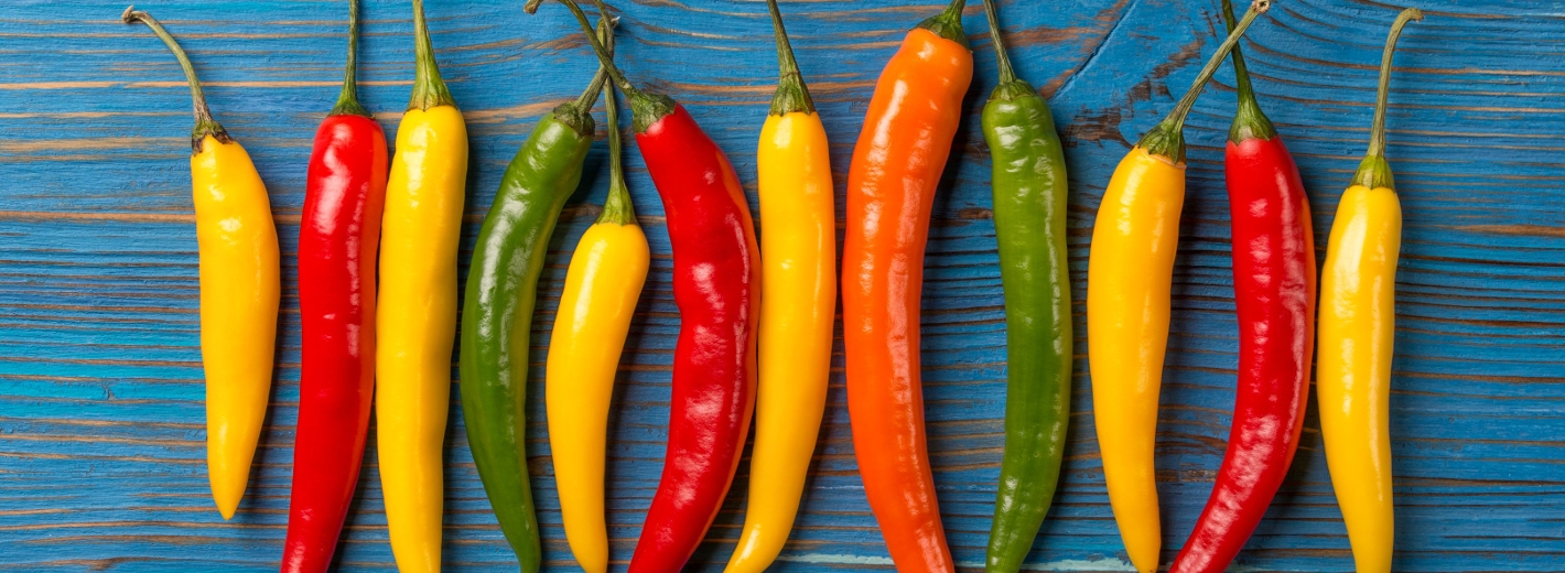 Chili in verschiedenen Farben