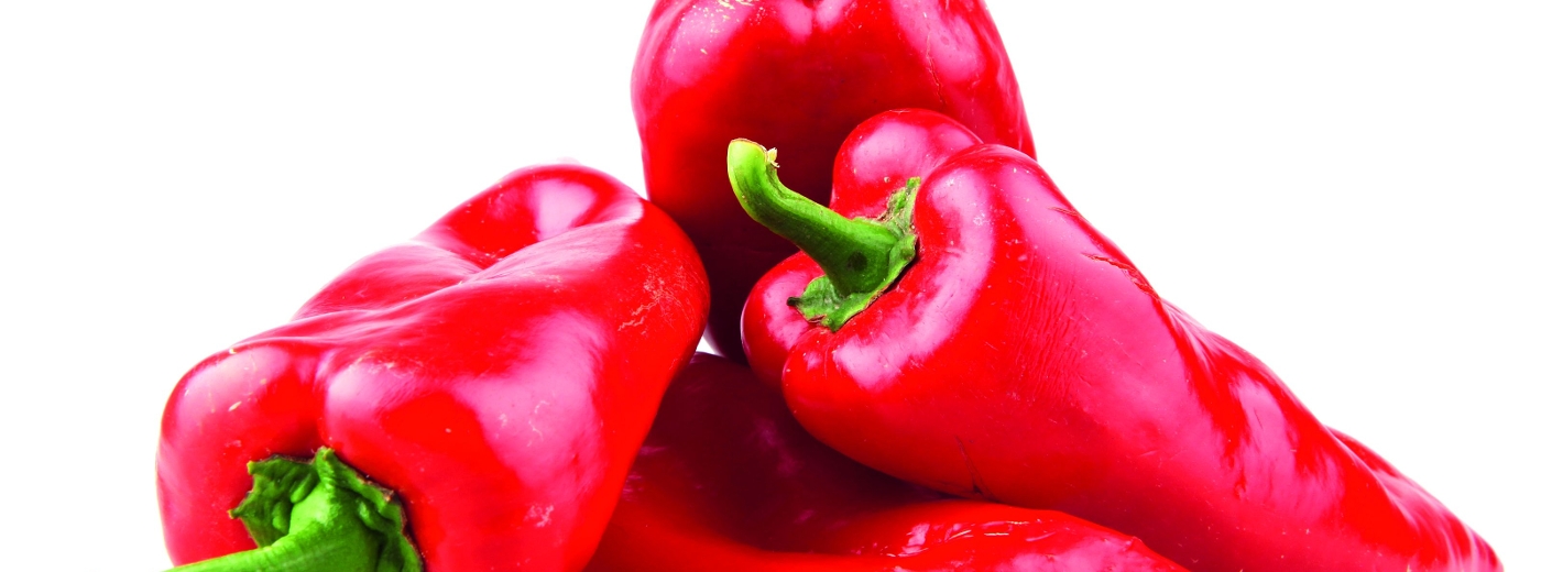 Alte Gemüsesorte Paprika Augsburger