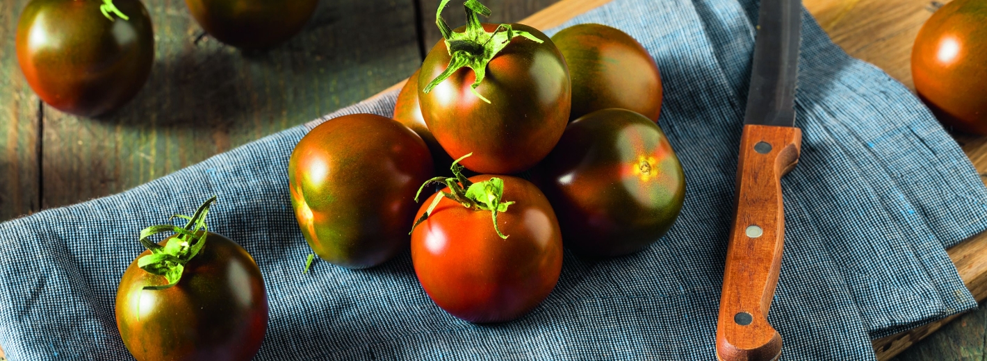 Alte Gemüsesorte Tomaten Lila Sari