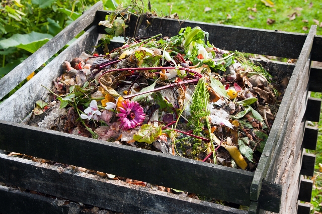 Kompostbehälter mit Küchenabfällen, Pflanzenresten, Blumen und Gemüseabfällen im Garten.