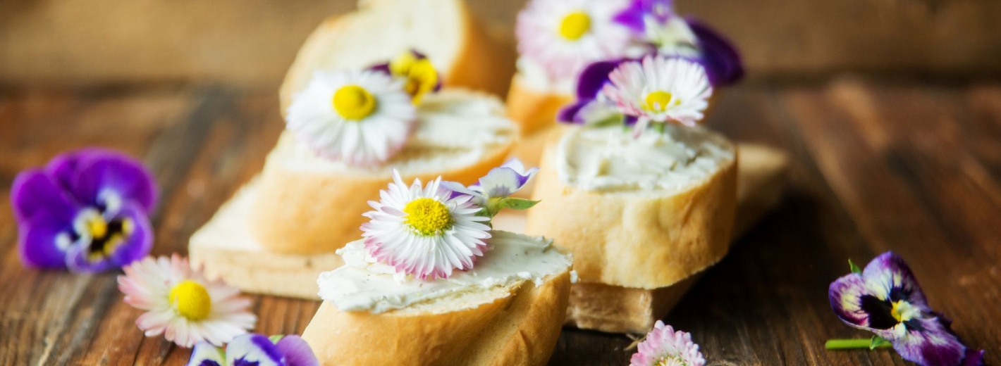 Gänseblümchen auf Butterbrot