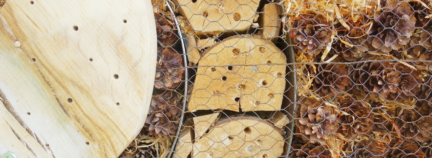 Insektenhaus selbst gebastelt