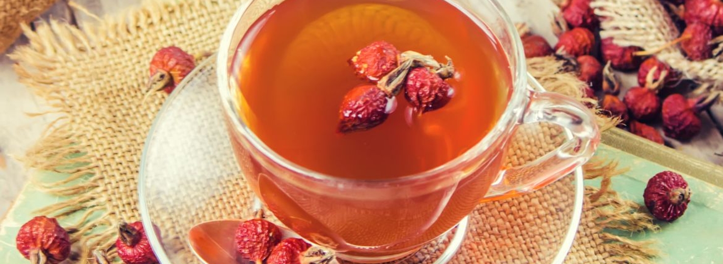 Teetasse mit Hagebutte