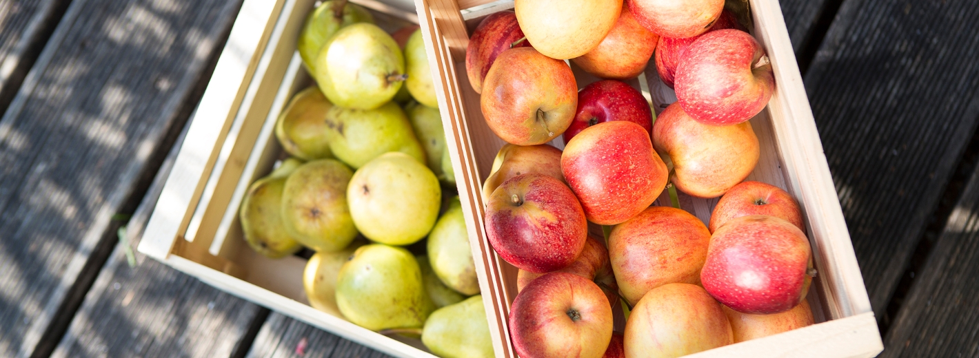 Äpfel und Birnen in Holzkisten