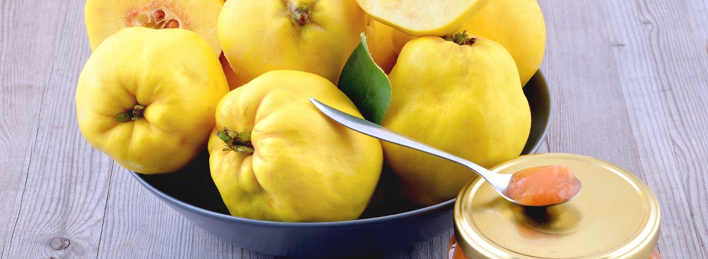 Quitten und Marmeladeglas