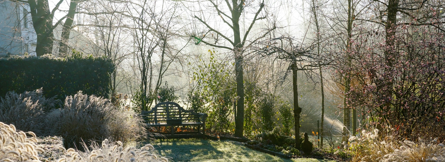 Winterstimmung im Garten