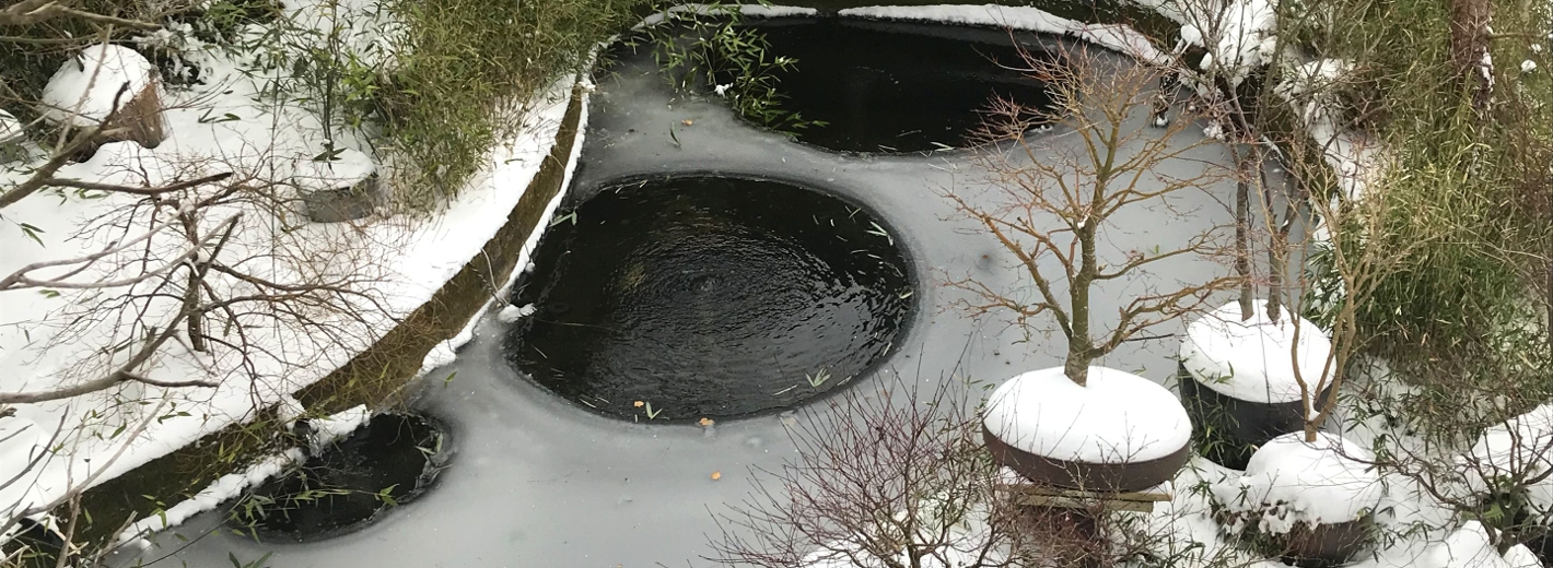 Gartenteich im Winter