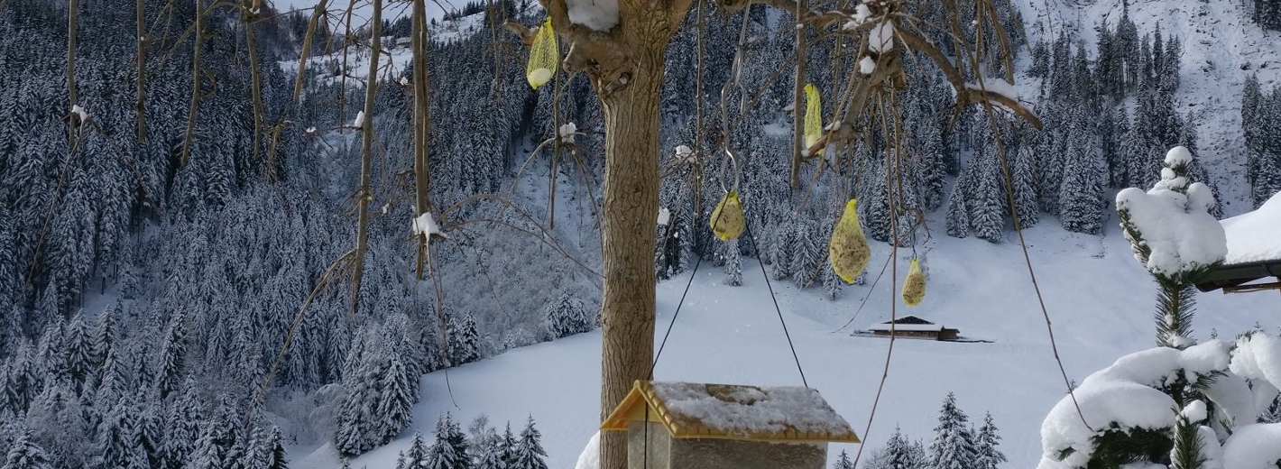 Winterlandschaft
