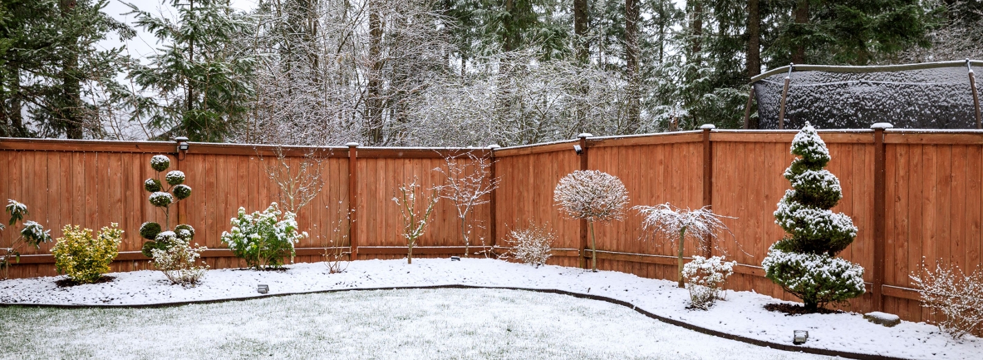 Garten im Winter mit Schnee
