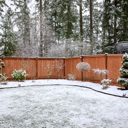 Garten im Winter mit Schnee