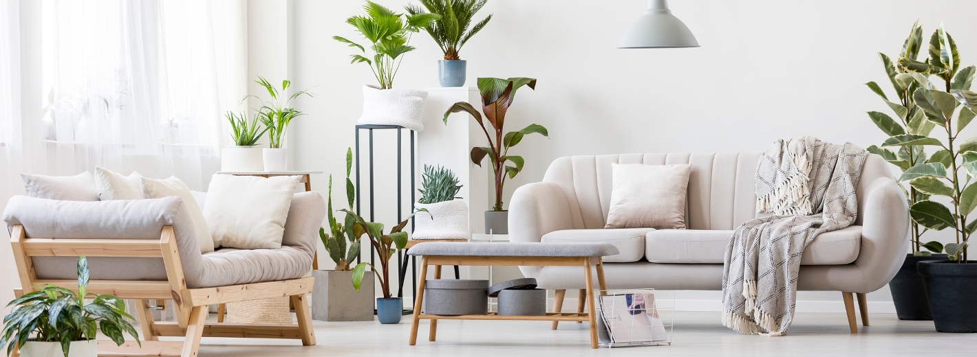Wohnzimmer mit Topfpflanzen
