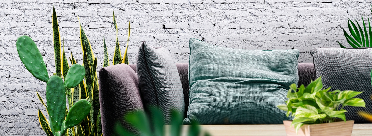 Zimmerpflanzen mit Couch