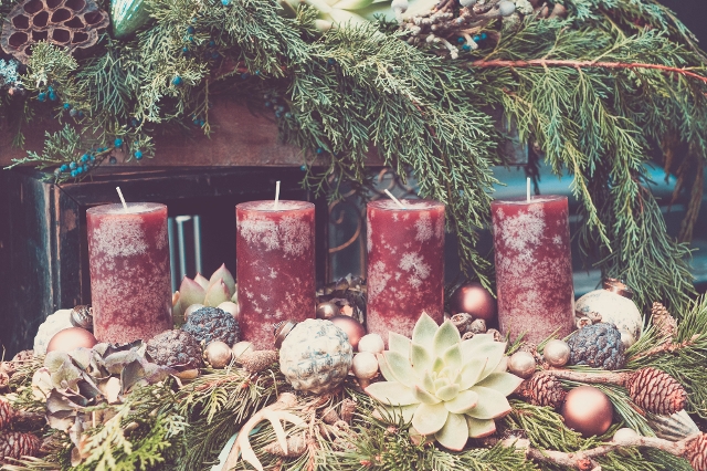 Adventkranz mit roten Kerzen und Sukkulenten und Zapfen
