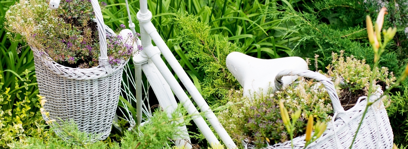 Altes Fahrragd mit Blumen