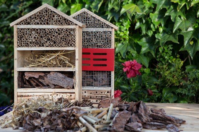 Insektenhotel