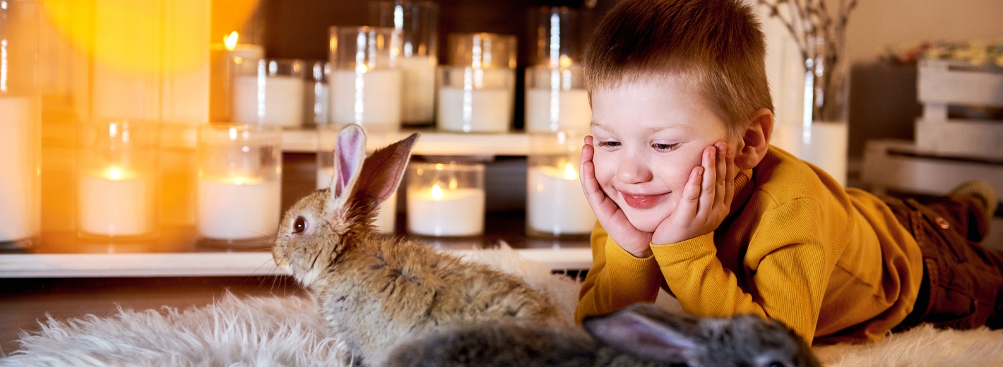 Kaninchen sitzen auf Teppich mit Jungen